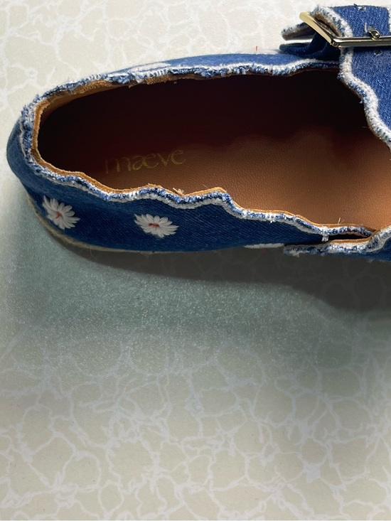 Anthropologie Blue Daisy Embroidered Mary Jane Flats